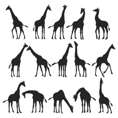 Giraffe silhouette, Illustration of the giraffe animal