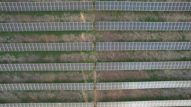 Utility scale solar farm or pv plant with bifacial modules and trackers