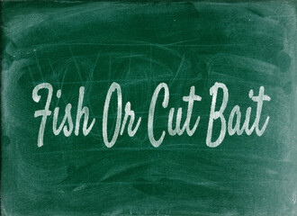 Fish Or Cut Bait Essential Business English Phrases and Idioms