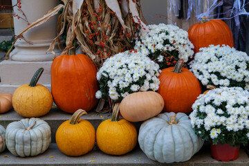 Colorful Pumpkins and Flowers on the Stairs of an Old Brownstone Home in New York City during...