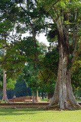 Part of muaro jambi temple building in province of jambi, Indonesia