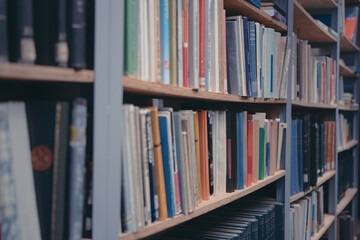 Organized literature on shelves in quiet library