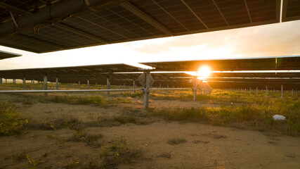 Utility scale solar farm or pv plant with bifacial modules and trackers