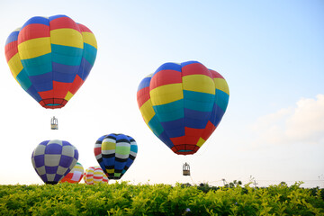Colorful hot air balloons flying over green tree on blue sky background in nation park.Hot air...