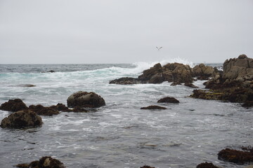 waves crashing on rocks