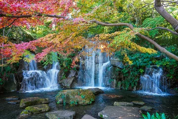 Fotobehang 水辺の紅葉（東京都府中市） © WAWA