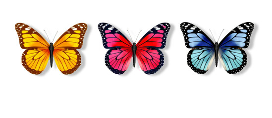 Grouped Butterflies Forming a Colorful, Delicate Winged Trio