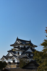 秋の青空に映える国宝彦根城