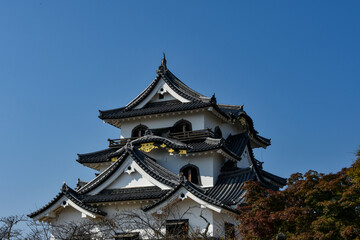 秋の青空に映える国宝彦根城