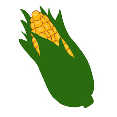 Corn illustration