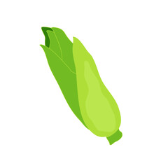 Fototapeta premium Corn illustration