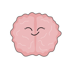 anatomy of the human body