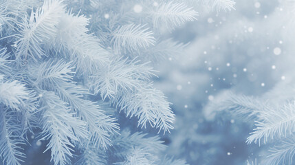 Winter blurred background with snowfall and frosted spruce brunches