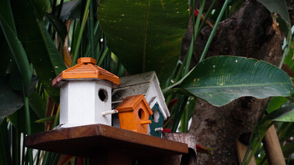 beautiful colorful little bird house