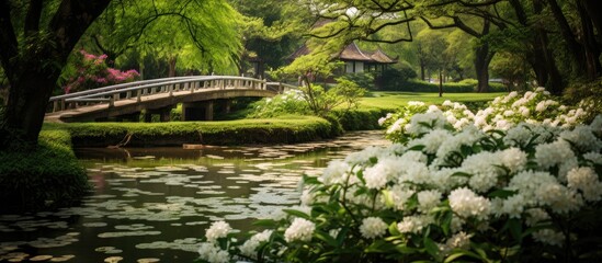Fototapeta premium The picturesque landscape with its lush green garden and towering trees was the perfect background for the serene water flowing through a wooden bridge creating a harmonious blend of nature 