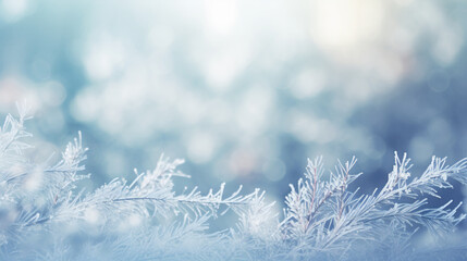 Obraz premium Winter blurred background with snowfall and frosted spruce brunches