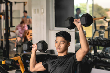 A young asian man wearing a black moisture-wicking polyester shirt doing a set of seated alternate dumbbell presses at the gym. Shoulder workout and training. - obrazy, fototapety, plakaty