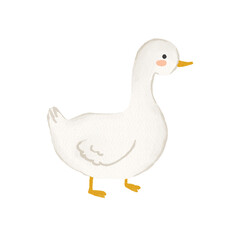 That cute white duck kids' illustration