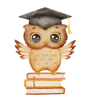 Cute owl in graduation cap sitting on books. Wise watercolor owl cartoon character isolated on white. Back to school.