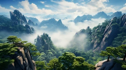 Photo sur Plexiglas Monts Huang Beautiful scenery in Mount Huangshan, China