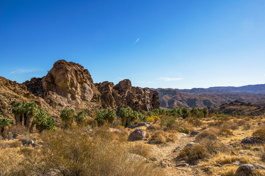 Hiking along a beautiful desert oasis trail in the Palm Springs Indian Canyon, in Southern California.