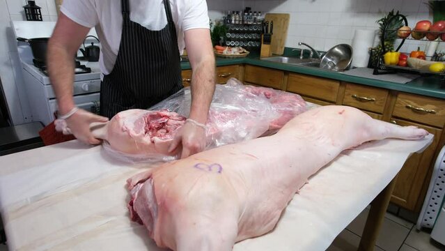 Unwrapping freshly butchered and sliced in half hog placed on kitchen table next to other half.