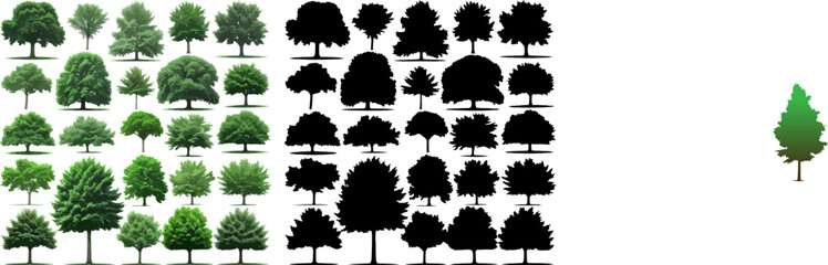 Silhouettes of Pine Trees set, Tree and Firs against a White Background. Forest Shapes and Templates for Nature-Themed Vector Designs.