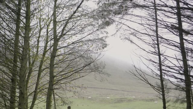 A view of Pendle Hill in Lancashire on a foggy autumn day