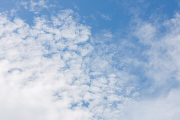 Fototapeta premium うろこ雲