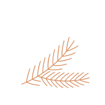 brown pine branch on white background clip art preview