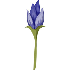 Blue Floral Watercolor Illustration PNG Transparent Background