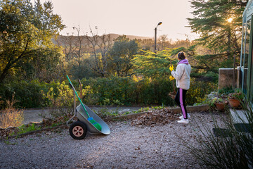 Woman gardening, collecting autumn leaves with a rake in early winter, in Provence, a region of...