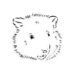 Vector image of silhouette of muskrat on a white background