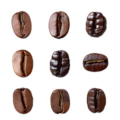 Set coffee beans png on isolated transparent background