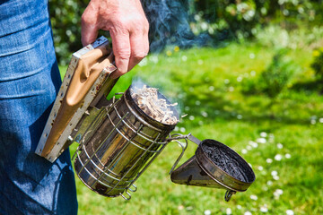 Hand of beekeeper in protective clothing switching on the old smoker with brush on grass garden.