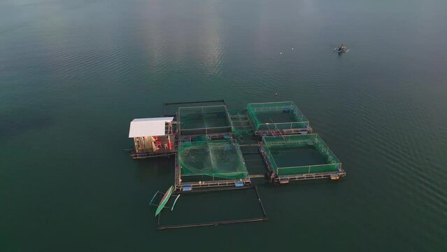 Aerial view of Fishpen cage farming in Tagbilaran city bay, Philippines
