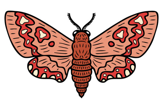 Acherontia atropos realistic doodle hawk moth. Perfect for tee, poster, card, sticker, banner. Hand drawn vector illustration.
