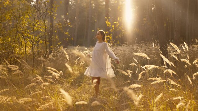 beautiful happy woman in white light dress joyfully walking in autumn forest between golden spikelets of tall dry grass. romantic girl relaxing in magic autumn woods with wonderful sunlight