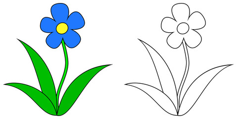 Blue flower colorful and outline. Coloring book page for children. Bloom illustration isolated on transparent background. Game for kids.