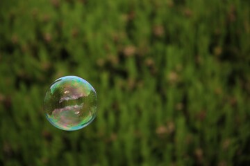 Beautiful soap bubble floating outdoors. Space for text