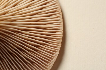 Raw forest mushroom on beige background, macro view. Space for text