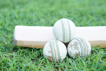 White cricket ball on wooden bat. Concept, sport equipment. Competitive sport. A cricket ball is made with a core of cork, covered by a leather case with a slightly raised sewn seam      