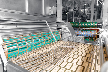 Food industry, biscuit production in factory on conveyor belt. Modern line for bakery cookies