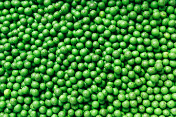 Closeup green dragee, chocolate covered nuts, sweet candy background