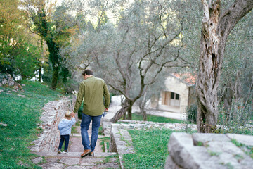 Fototapeta na wymiar Dad and a little girl descend the steps in the park holding hands. Back view