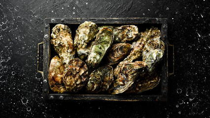 Closed fresh oysters on a tray. On a black stone background. Top view.