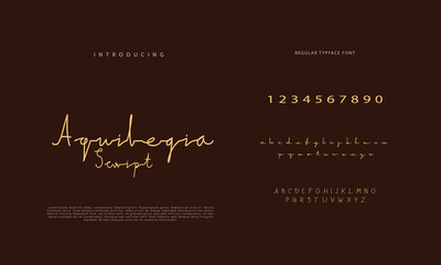 Handwritten Script font. Hand drawn brush style modern calligraphy cursive typeface. Hand Lettering and Custom Typography alphabet for Designs: Logo, Greeting Cards, Poster. Vector Brush type set.
