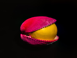 Composition with lemon and shells on a black background