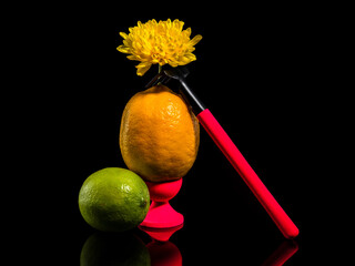 Composition with lemon, lime and rake on a black background