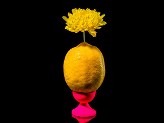 Composition with lemon and yellow flower on a black background